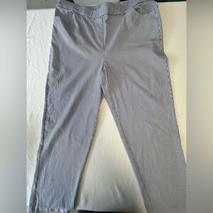 Alfred Dunner Blue and White Dress Pants Classic Straight-Leg